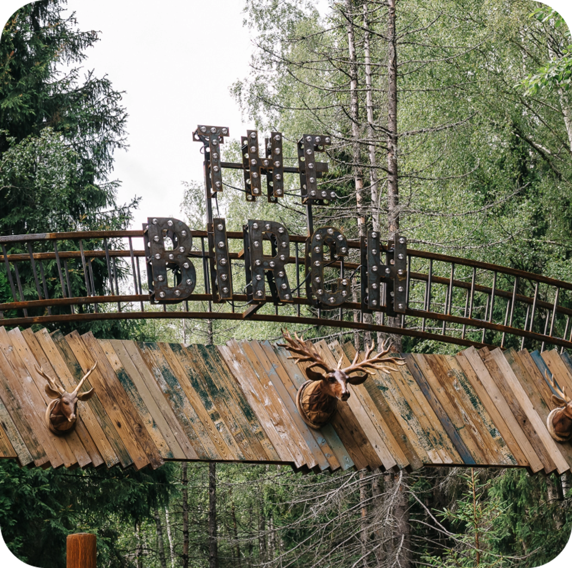 Антураж The Birch