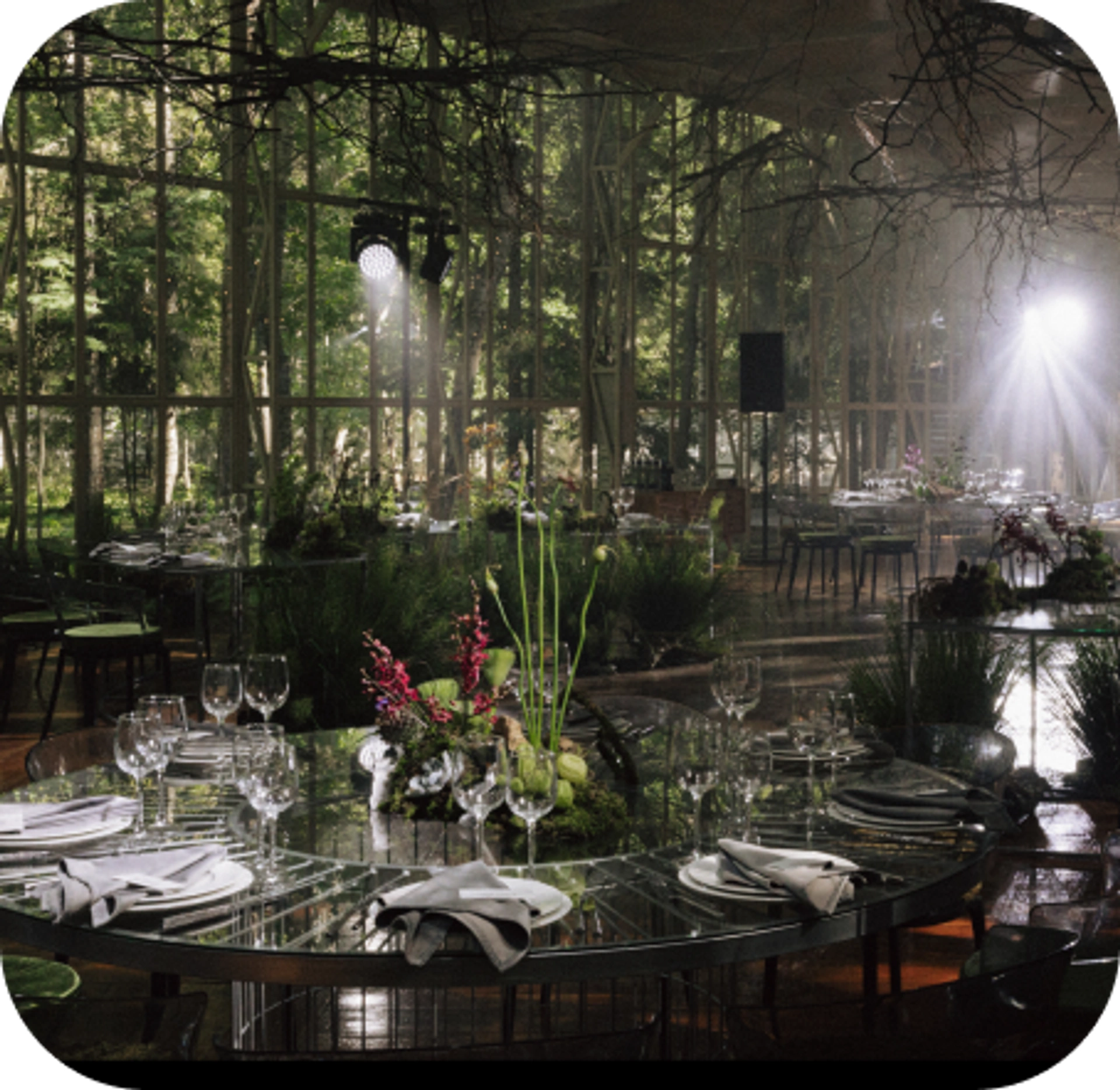 Антураж The Birch