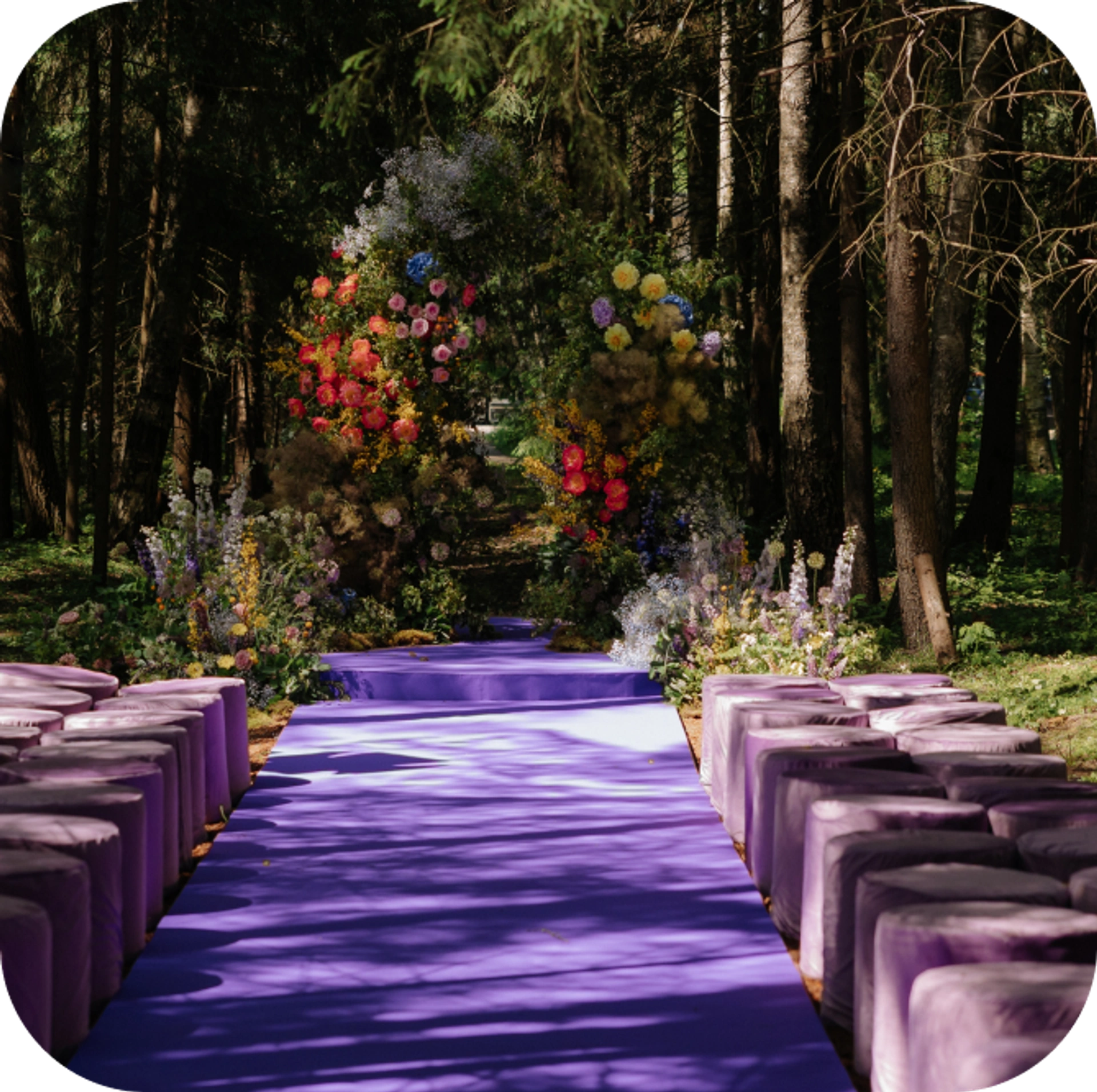 Антураж The Birch