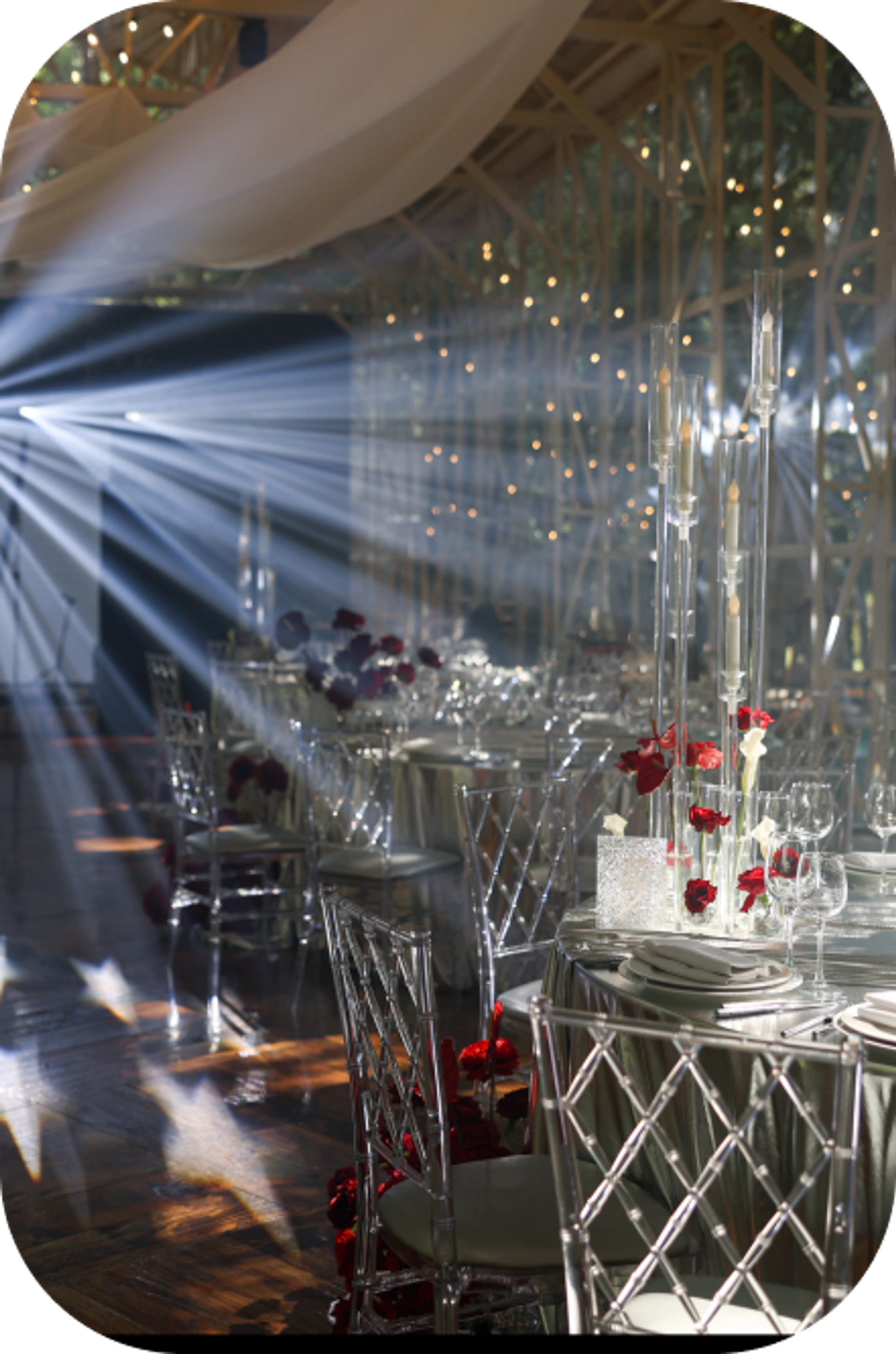 Антураж The Birch