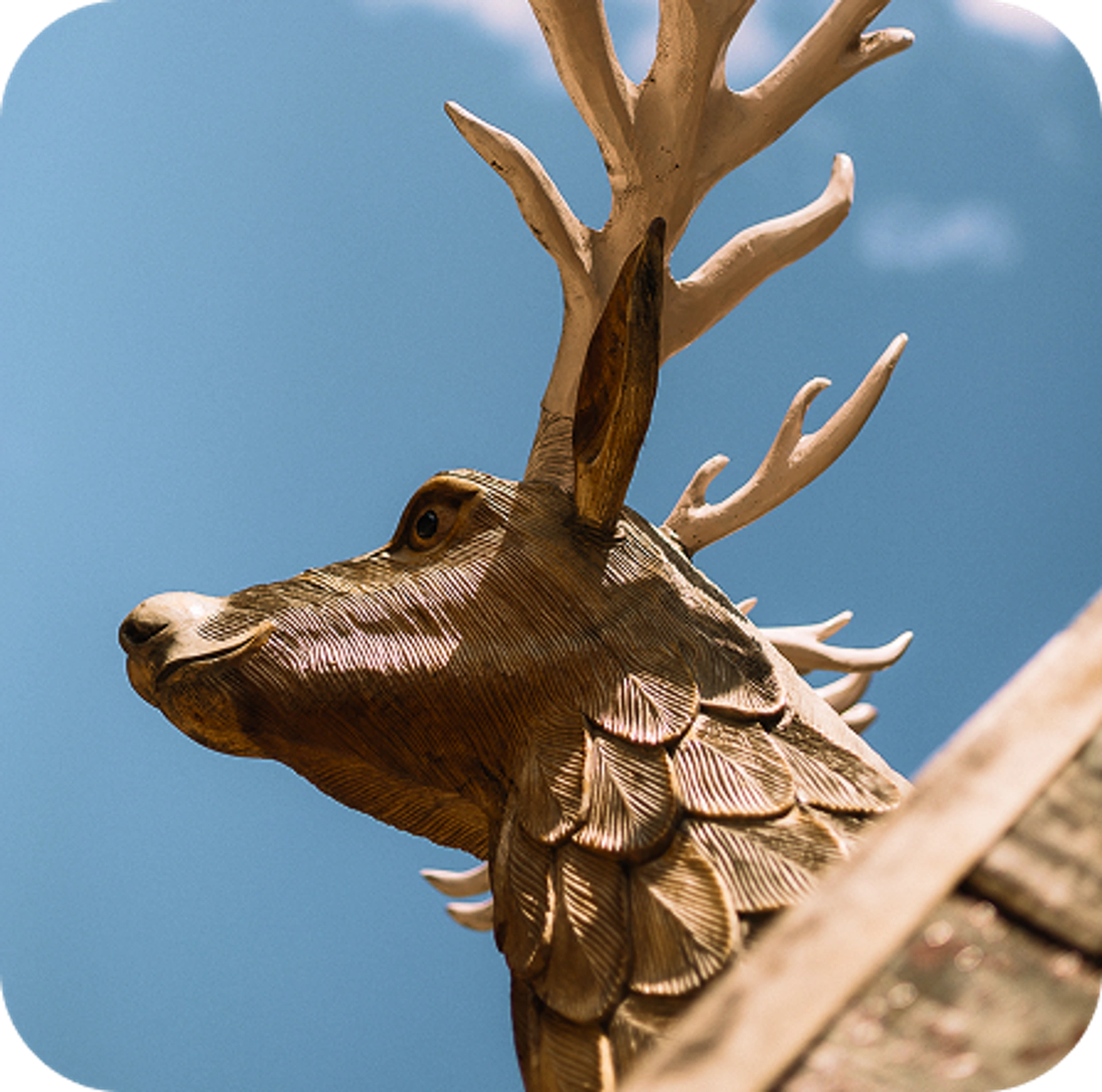 фото с мероприятий